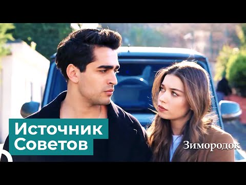 Видео: Новый Наставник Для Ферита | Зимородок