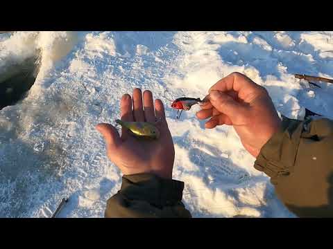 Видео: Крепкие надёжные снасти на щуку!