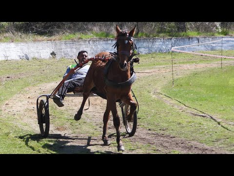 Видео: Кушия в село Бисер, 2024 г