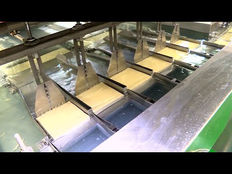 Видео: Линия по производству тофу на Тайване.