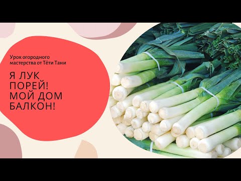 Видео: Я Лук Порей!  Мой дом балкон!
