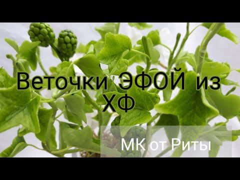 Видео: Веточки Эфой из ХФ МК от Риты