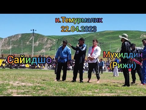 Видео: Гуштини Сайидшо бо Муҳиддин (Рижи) дар Темурмалик 22.04.2023.