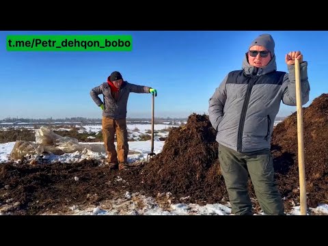 Видео: Барг, сомон ва гўнгдан уй шароитида тупроқ тайёрлаш. ДАВОМИ.