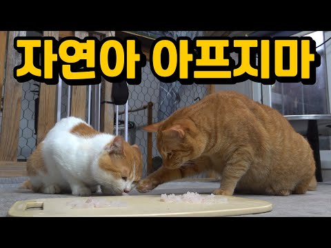 Видео: Природа посещает больницу. Возвращается 2. Эпизод 69