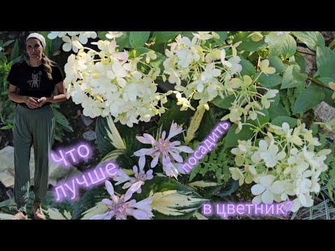 Видео: Преображение цветника / Новые растения / Садовые работы #дача #цветы #сад 