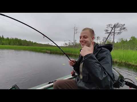 Видео: Рыбалка в Карелии. Июль 2023.