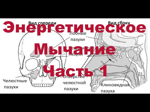 Видео: Энергетическое Мычание. Часть 1