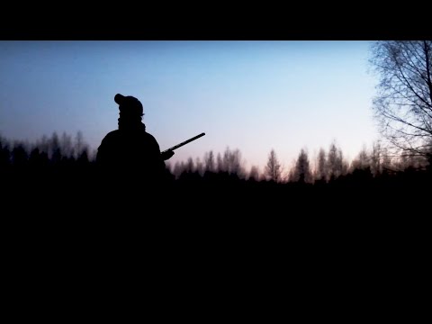 Видео: Охота на вальдшнепа с ночёвкой и рыбалкой.