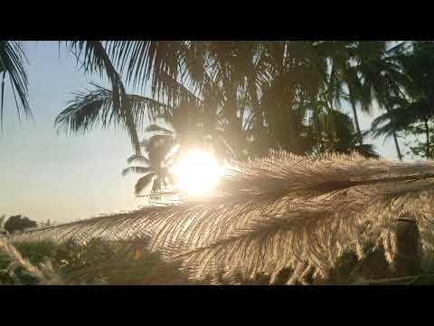 Видео: осы әнді үнемі тыңдаңыз, бәрімізге береке