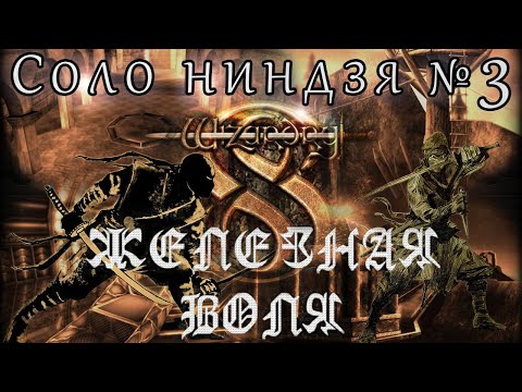 Видео: Wizardry 8 СОЛО Ниндзя Железная воля №3