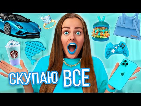 Видео: СКУПАЮ ВСЕ ГОЛУБОГО ЦВЕТА ЧЕЛЛЕНДЖ! МОЙ бюджет не ограничен! 24 часа одного цвета!