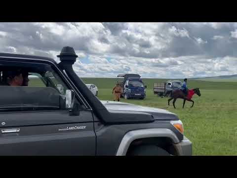 Видео: Дорнод аймгийн Матад сумын  "НОГООНЫ ОВОО"-ны тахилга баяр наадам хурдан даагны уралдаан