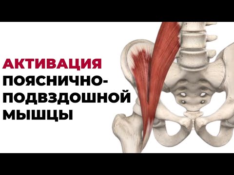 Видео: Активация и тренировка пояснично-подвздошной мышцы 