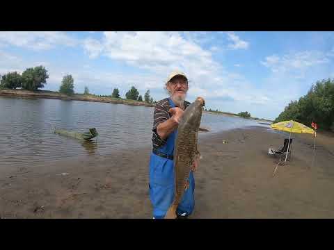 Видео: Ахтуба 2023. Июнь. В гостях у старика Хоттабыча))