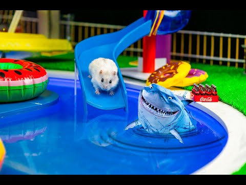 Видео: 🐹 Лабиринт с ловушками для хомяков 😱 МИР МАИНКРАФТ! Преследуем хомяков!