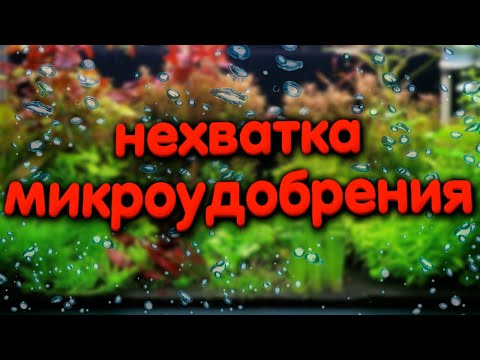Видео: Выяснил что не хватает микроудобрений в аквариуме.
