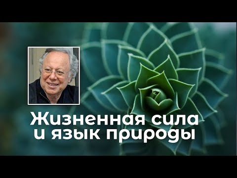 Видео: Ибрагим Карим - Жизненная сила и язык природы