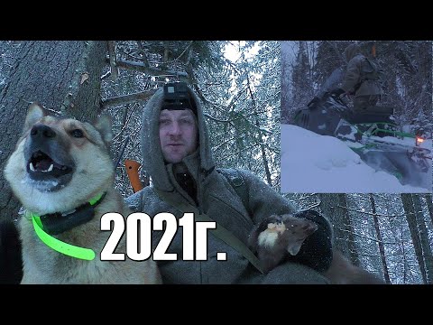 Видео: Промысел 2021.Сапоги Nordman Ultra.Тунгус 600 эксплуатация,сломал фаркоп.