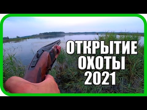 Видео: ОТКРЫТИЕ ОХОТЫ 2021: ТАКОЙ НАГЛОСТИ ОХОТНИКИ НЕ ЖДАЛИ