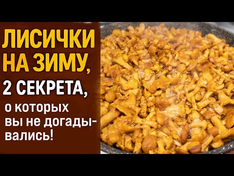 Видео: ЛИСИЧКИ НА ЗИМУ: 2 СЕКРЕТА, 🍄 о которых вы не догадывались! 😉