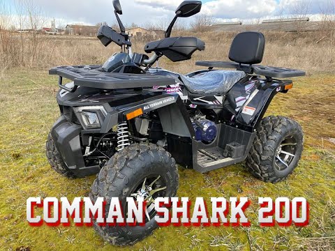 Видео: Самый 🔥продаваемый квадроцикл Comman Shark - Так ли он хорош