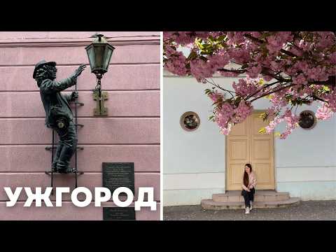 Видео: Ужгород: сакуры, пальмы и главные достопримечательности