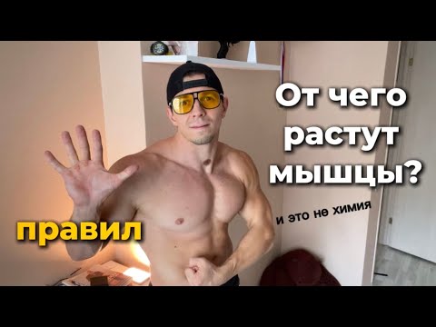 Видео: ПОСЛЕ ЭТОГО ВИДОСА ТЫ ТОЧНО НАКАЧАЕШЬСЯ💪🏻