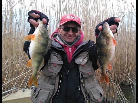 Видео: 2016 Весна в дельте Волги. Март