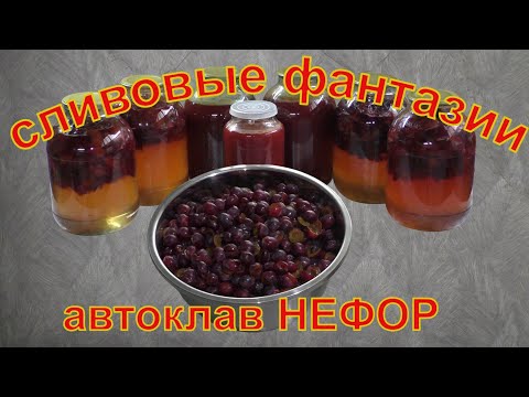 Видео: Сливовые фантазии и эксперименты. Автоклав НЕФОР.