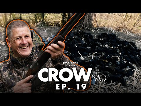 Видео: Приманивание умных врановых | Энди Кроу | CROWpro EP 19 | В укрытии | Только GoPro | Fieldsports