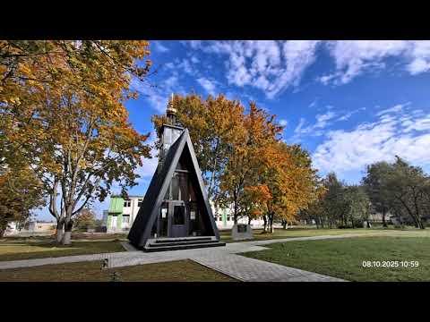 Видео: Октябрь в районе Щучинской ЦРБ