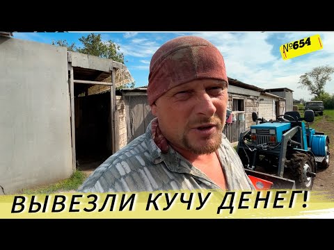 Видео: Вывезли добра на 25 тысяч. Отпилили корове рог. Жизнь и будни в Омской деревне.