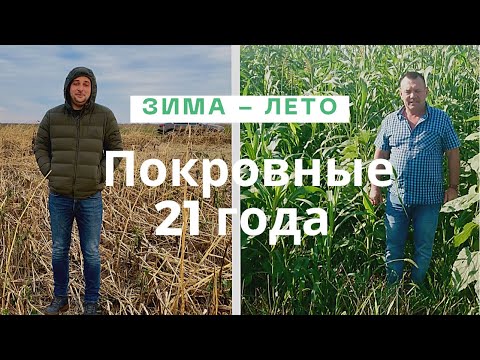 Видео: Покровные культуры зимой и летом