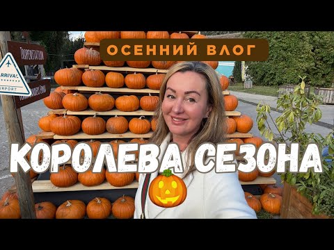 Видео: 🍂 Большой ОБЗОР ФЕРМЕРСКОГО МАГАЗИНА 🇩🇪 ТЫКВЫ НА ЛЮБОЙ ВКУС 🎃 ДОЛГО ЖДАЛИ УЖИН 🍽️