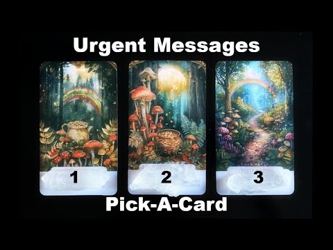 Видео: 🍀Срочные сообщения от вашей духовной команды | Pick-A-Card