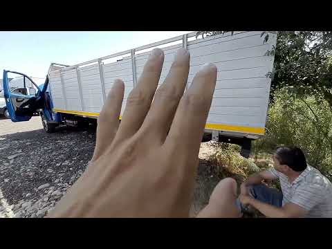 Видео: самарканд мошина бозори газел нархлари #QobilNarzulaev