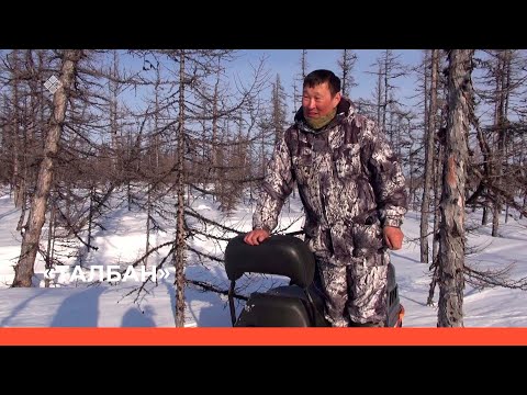 Видео: «Талбан» биэриигэ: Дьэһиэй һахаларыгар айан II-c чааһа (04.05.23)