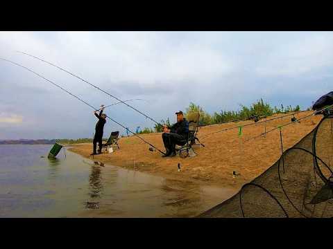 Видео: ЗДЕСЬ КЛЮЕТ ВСЯ РЫБА. САЗАНЫ-ПАРОВОЗЫ, КАРАСИ-КОНИ, СОМЫ.........
