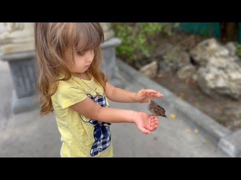 Видео: Мама Люси СНОВА ЖДЁТ МАЛЫША! Ангелина не была в парке почти две недели и ОЧЕНЬ СОСКУЧИЛАСЬ!