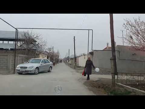 Видео: Конибодом 2022 Кизилнур