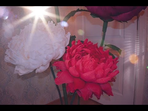 Видео: Цветок Кувшин из гофро бумаги (5 цветок на стойку)