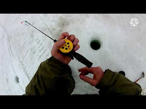 Видео: Камчатка оз. Соленое. Очень много селёдки.