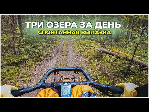 Видео: 🚴 ЛЕТНИЙ МАРШРУТ ЧЕРЕЗ ПОЛЯ И ЛЕСА — ПРИКЛЮЧЕНИЯ В ПУТИ