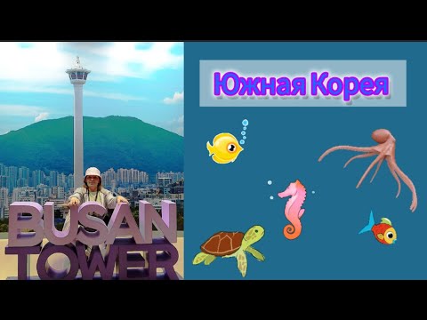 Видео: Путешествие Южная Корея 6-день из 14 #еда #отдыхвкорее #заграница #корея #путешествия