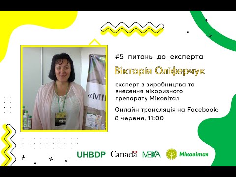 Видео: 3. Що таке мікориза та як вона впливає на плодоовочеві рослини?