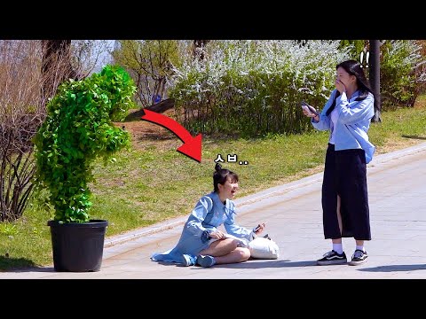 Видео: Бушменская шалость напугала их до смерти!! в Корее