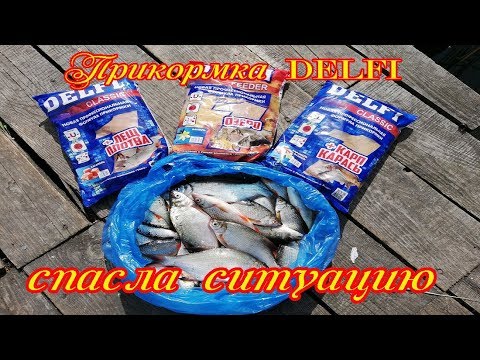 Видео: Прикормка DELFI Выручила И спасла от Бесклёвья