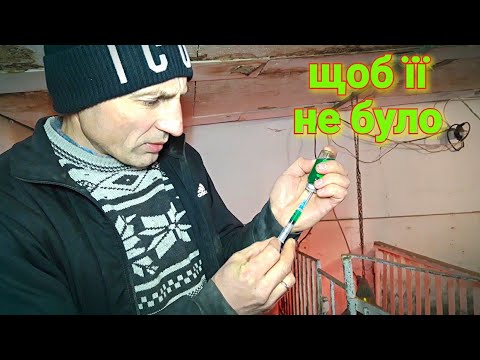 Видео: Буду це робити//Набрякова-Сердосан//Парвовірус-Парворувакс❗