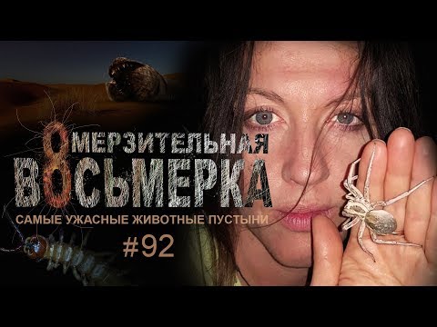 Видео: Омерзительная восьмерка: самые ужасные животные пустыни // Всё как у зверей #92